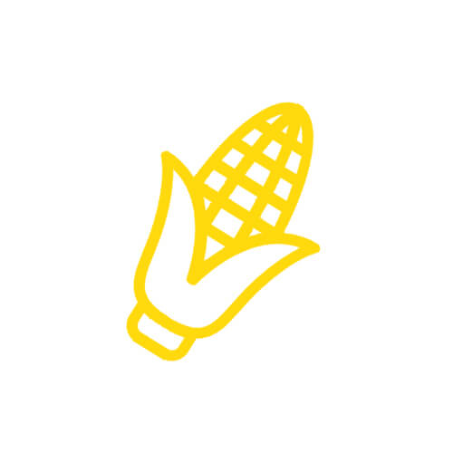 biosourced card holder french corn